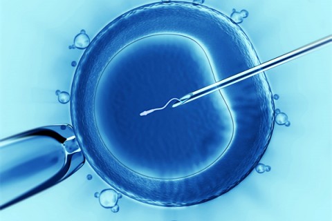 http://zhengzhou.vdtfzz.com/post/198.html|郑州代生助孕