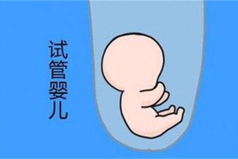 http://zhengzhou.vdtfzz.com/post/194.html|郑州新闻中心