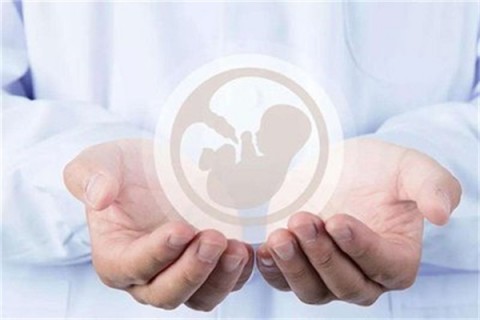 http://zhengzhou.vdtfzz.com/post/214.html|郑州人工试管