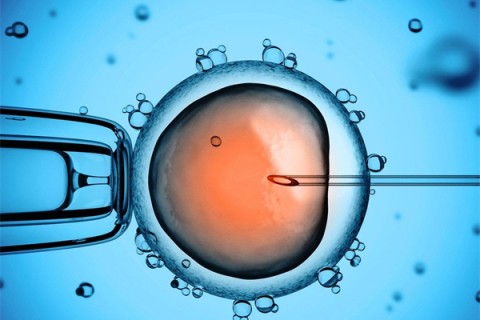 http://zhengzhou.vdtfzz.com/post/206.html|郑州新闻中心
